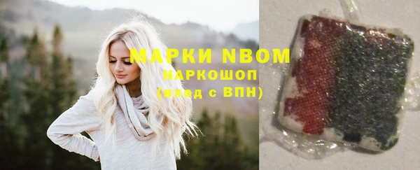 PSILOCYBIN Алзамай