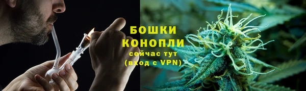 PSILOCYBIN Алексеевка