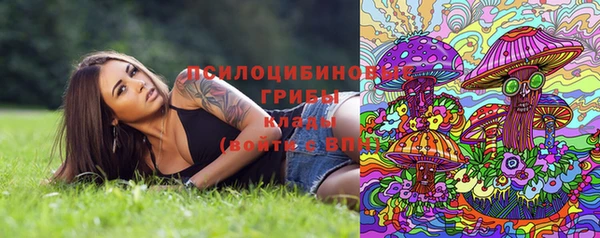 PSILOCYBIN Алексеевка