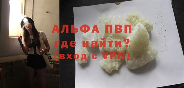 индика Осинники