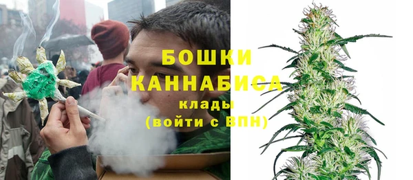 PSILOCYBIN Алзамай