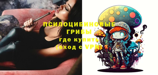 PSILOCYBIN Алзамай