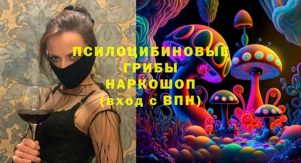 PSILOCYBIN Алзамай