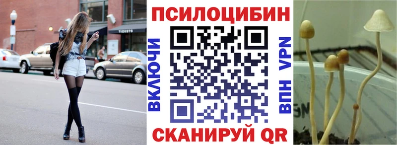 Галлюциногенные грибы мицелий  Камызяк 